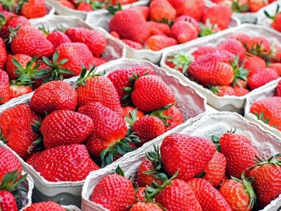 Szwedzkie truskawki na Midsommar – będą dostępne