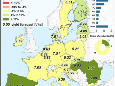 KE obniżyła oczekiwane plony zbóż i rzepaku w Polsce