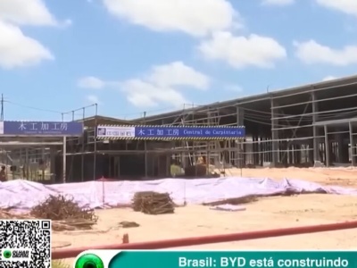 BYD z problemami w Brazylii. Warunki „analogiczne do niewolnictwa” na budowie fabryki. Dotyczyły 220… Chińczyków