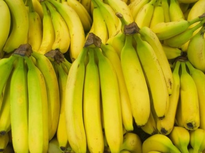 Czy naprawdę łączy nas z bananem 60% DNA? Fakty i mity tego pokrewieństwa