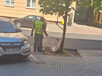 Remont ulicy Kopernika. Czy inwestycje idą w parze z troską o przyrodę?