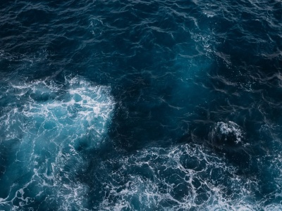 Ocean staje się ciemny i cichy. Naukowcy biją na alarm
