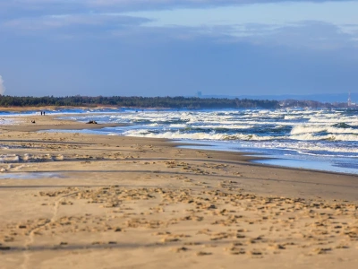 Nietypowe kosze nad Bałtykiem. To nie są gadżety dla plażowiczów