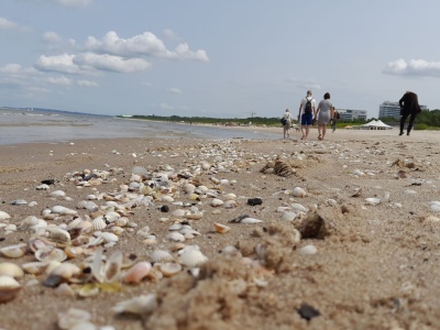 Plaża w Świnoujściu zawalczy o tytuł najlepszej w Polsce [WIDEO, ZDJĘCIA]