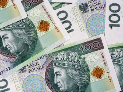 Specjalny dodatek na psa. Tylko dla nich po 280 zł miesięcznie