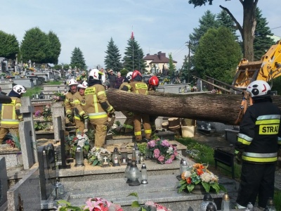 Armagedon na cmentarzu w Strzyżowie. Zniszczone groby, połamane krzyże