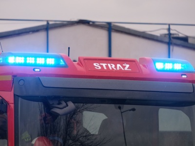 Gałąź uszkodziła trakcję trolejbusową