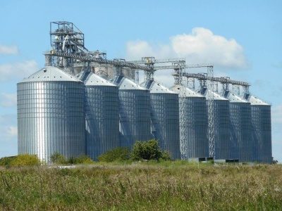 04.06.2025 Ceny skupu zbóż, kukurydzy, oleistych i strączkowych: zastój w cennikach
