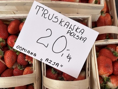 Czesi dosłownie rzucili się na nie. Polscy sprzedawcy zacierają ręce