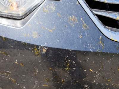 Owady na masce? Wymieszaj z wodą i przetrzyj. Inaczej zrobią graffiti z lakieru