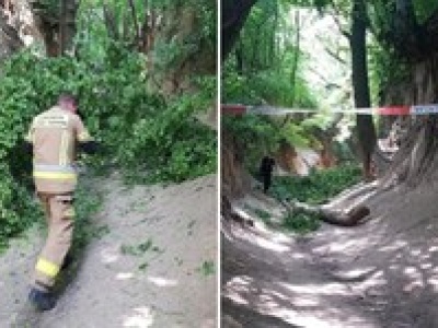 Konar spadł na dzieci. Są ranni, lądował śmigłowiec LPR