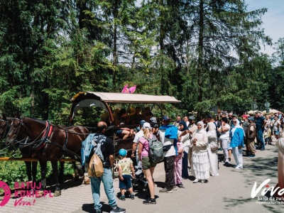 Fundacja Viva! po wielu latach prób współpracy mówi “dość” i bojkotuje badania koni z Morskiego Oka
