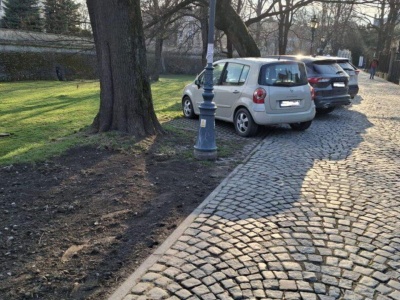Mandaty sypią się jak z rękawa. Kierowcy mają za nic zakaz parkowania na al. Pod Kasztanami