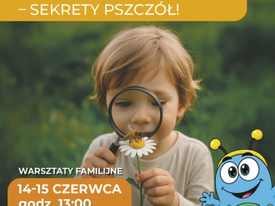 Z kwiatka na kwiatek – sekrety pszczół!