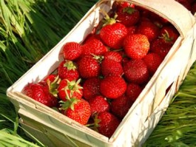 Zamiast posypywać cukrem, sięgnij po inny produkt. Za ten trik należy się medal