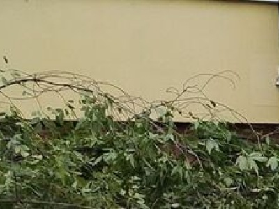 Burze w całym kraju, u nas powieje z siłą prawie huraganu