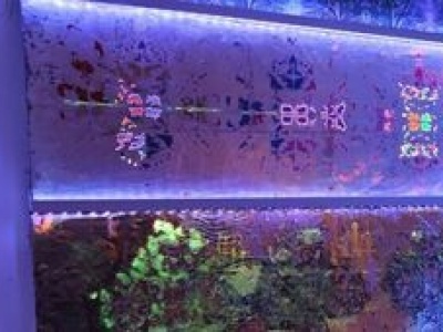 Lublin nie zasnął. Za nami Noc Kultury 2025