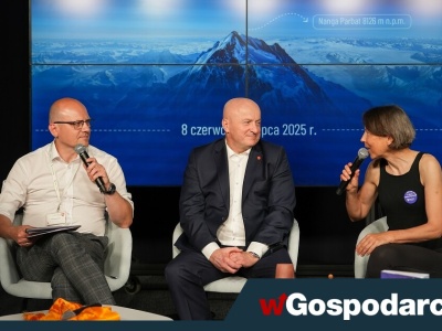 Polska himalaistka rusza na Nanga Parbat. Ma wsparcie!