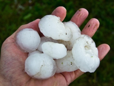 Grad zniszczył uprawy? Pilnie zgłoś straty w urzędzie