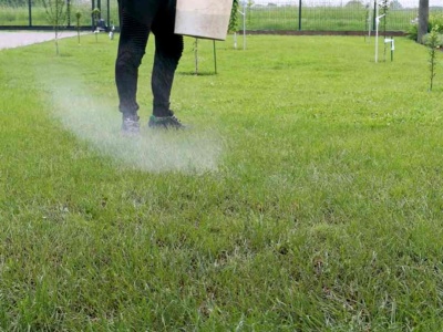 Rozrzuć na trawniku białe kryształki. Wypięknieje błyskawicznie