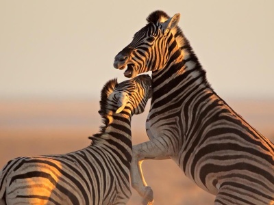 Bezpieczeństwo w Namibii. Czy Namibia jest bezpieczna?