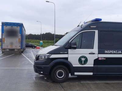 Jeden kierowca, kontrole kontrole ITD w dwa dni – czas pracy a dobrostan zwierząt