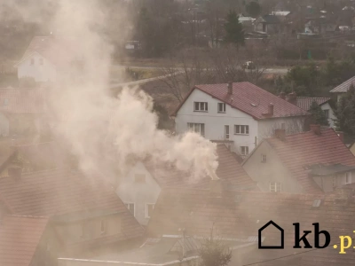 Masz problem z dymem z kominka? Winne może być to drewno