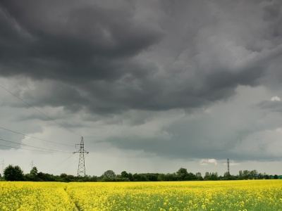Jaka będzie pogoda w Łodzi? Sprawdź prognozę na dziś, 12 czerwca 2025 r. Deszcz czy słońce?