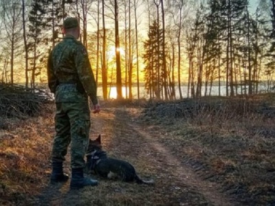 Nielegalna migracja z Białorusi spada. Wiceminister: ‘Wkrótce zniknie całkiem’