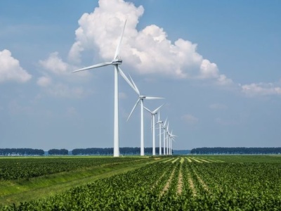 Wiatraki filarem transformacji energetycznej w Polsce