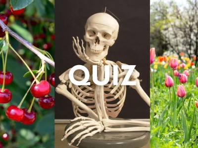 Logiczny quiz wiedzy dla inteligentnych. My podajemy 3 hasła, ty kolejne