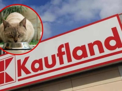 Kaufland pilnie wycofuje karmę dla kotów. Klienci nie powinni podawać jej swoim zwierzętom