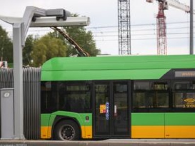 Nie masz odpowiedniego prawka? W tym mieście dostaniesz pracę w MPK