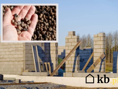 Budujesz dom? Zapomnij o betonie – ten materiał robi furorę!