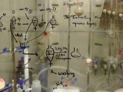 Przyszłość chemii pisana przez grzyby. Polski enzym MapADO przełamuje schematy