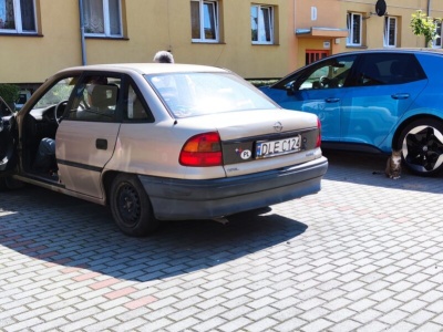 Nowelizacja Ustawy o elektromobilności ułatwi montaż punktów ładowania w blokach. Uniemożliwi przeciąganie sprawy