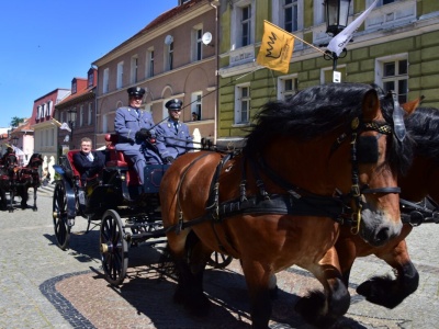 Gdy konie opowiadają historię, czyli 140 lat Stada Ogierów w Gnieźnie
