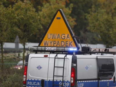 Zderzenie z sarną. Kierowca trafił do szpitala