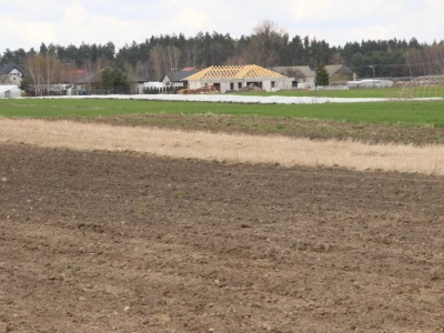 Sprzedaż ziemi w trakcie dzierżawy. Czy rolnik może zostać bez pola z dnia na dzień?