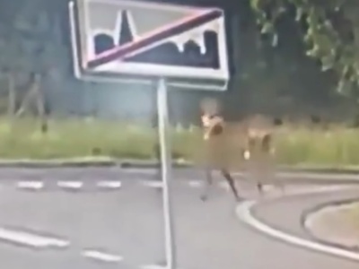 Nadzy migranci bez dokumentów biegali po ulicach