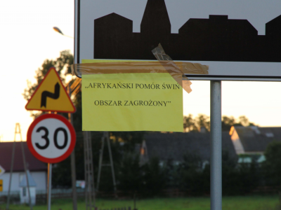 ASF się rozpędza. Wybuchło drugie ognisko. Gdzie?