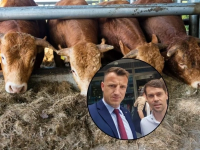 Wilk i Kołodziejczak walczą o pomoc finansową z FOR dla rolników oszukanych przez skup bydła