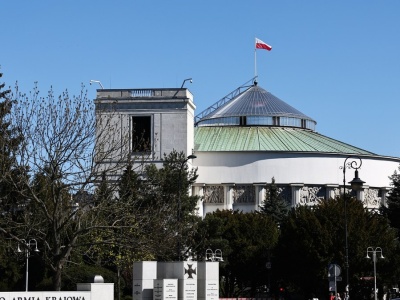 Jakie trendy kształtują politykę