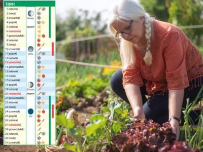 Kalendarz biodynamiczny na lipiec 2025: kiedy ciąć i pryskać?