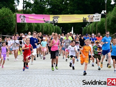 Festiwal Mokrych Nosków dla podopiecznych świdnickiego schroniska [FOTO]