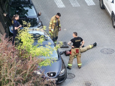 Nagórki. Zwierzę znalazło się w potrzasku. Pomogli strażacy