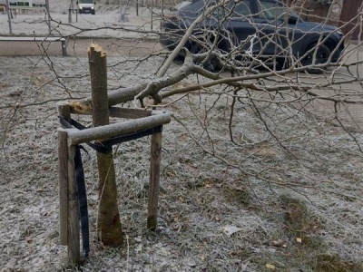 17-latek podejrzany o zniszczenie mienia