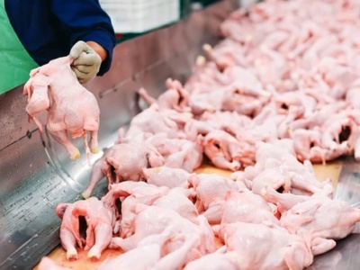 Ukraińskie MHP jest największym producentem drobiu w Europie. Unia jest kluczowym rynkiem zbytu