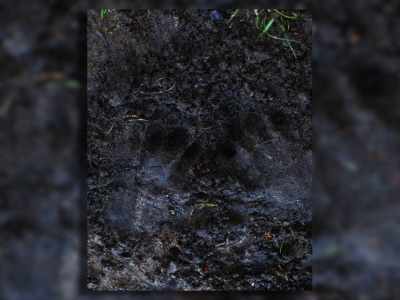 „Pamięć ziemi” – wystawa, która zmienia spojrzenie na kobiecość i wiek!