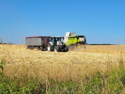 Kombajny ruszyły w pola. Ile płacą w skupach za jęczmień?